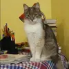 Отзыв от Лада Иванова
